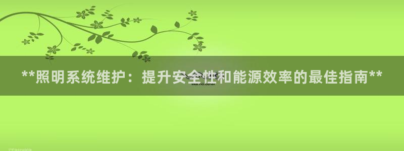 **照明系统维护：提升安全性和能源效率的最佳指南**