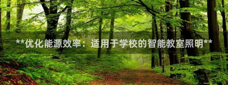 **优化能源效率：适用于学校的智能教室照明**