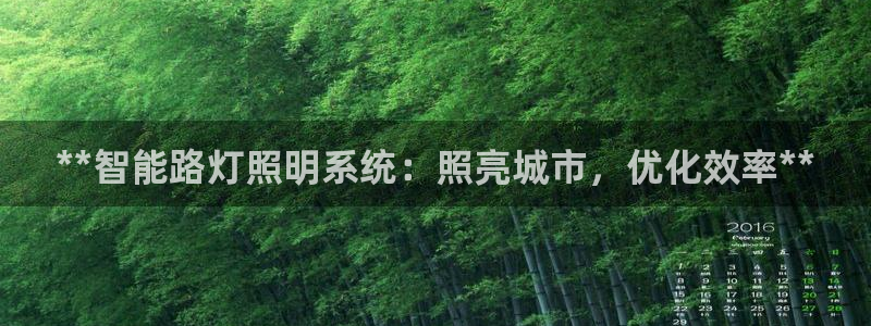**智能路灯照明系统：照亮城市，优化效率**