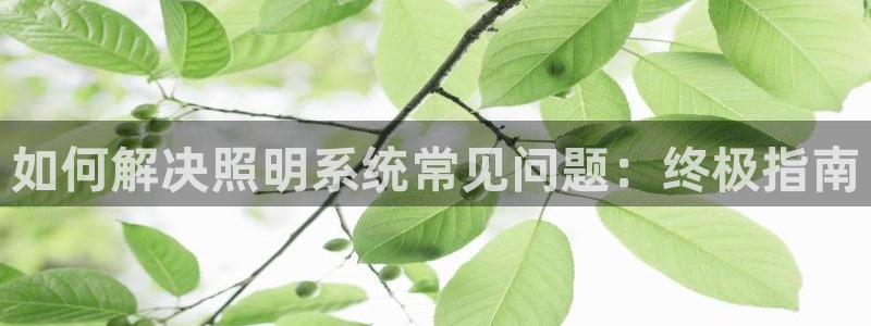 如何解决照明系统常见问题：终极指南