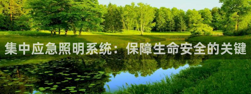集中应急照明系统：保障生命安全的关键