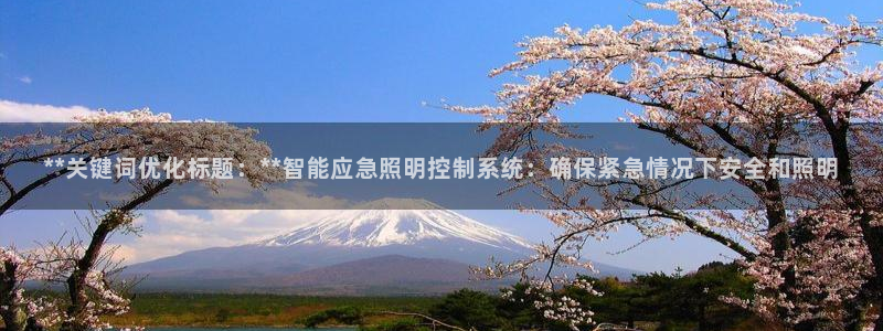 **关键词优化标题：**智能应急照明控制系统：确保紧急情况下安全和照明