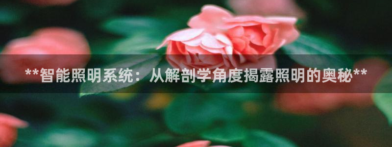 **智能照明系统：从解剖学角度揭露照明的奥秘**