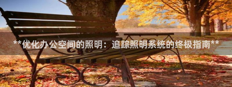 **优化办公空间的照明：追踪照明系统的终极指南**