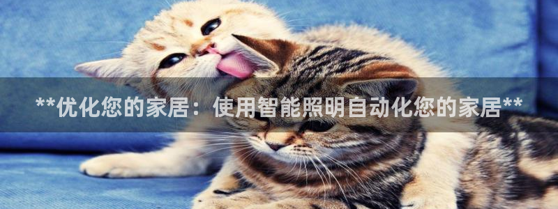 **优化您的家居：使用智能照明自动化您的家居**