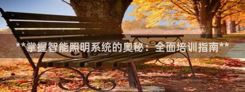 **掌握智能照明系统的奥秘：全面培训指南**