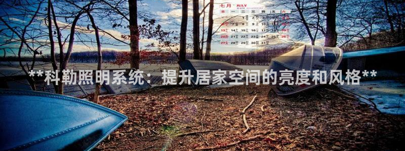 **科勒照明系统：提升居家空间的亮度和风格**