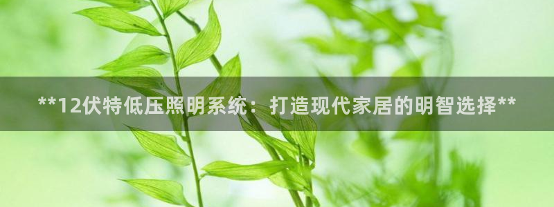 **12伏特低压照明系统：打造现代家居的明智选择**