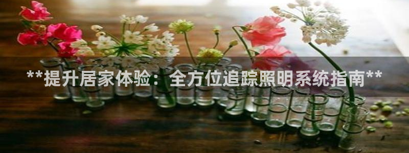 **提升居家体验：全方位追踪照明系统指南**
