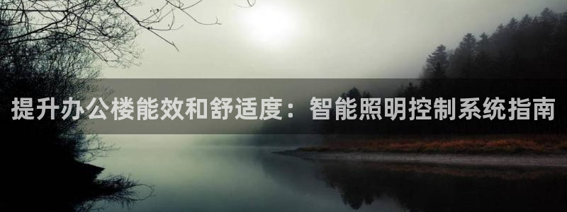 提升办公楼能效和舒适度：智能照明控制系统指南