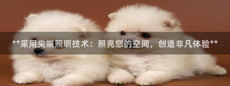 **采用尖端照明技术：照亮您的空间，创造非凡体验**