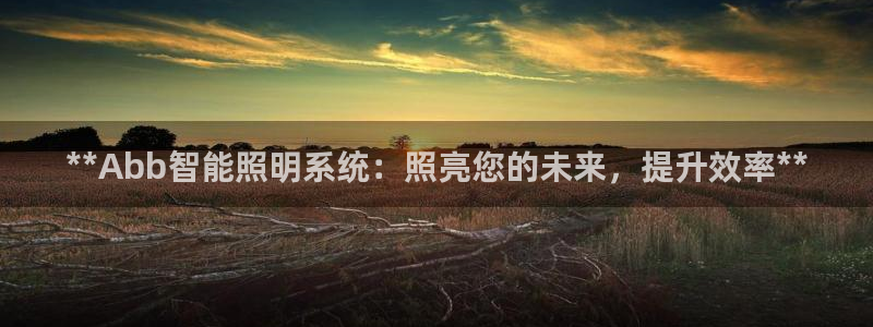**Abb智能照明系统：照亮您的未来，提升效率**