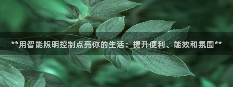 **用智能照明控制点亮你的生活：提升便利、能效和氛围**