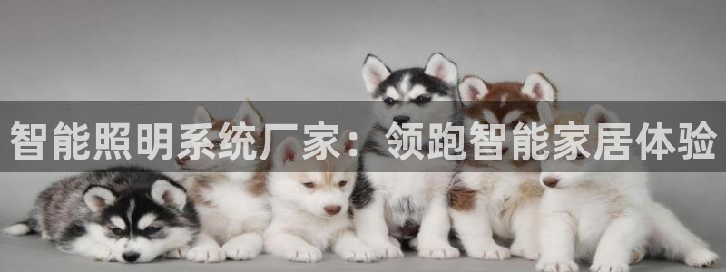 智能照明系统厂家：领跑智能家居体验