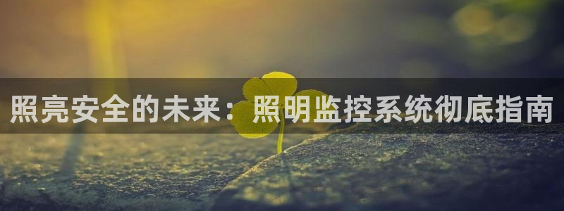 照亮安全的未来：照明监控系统彻底指南