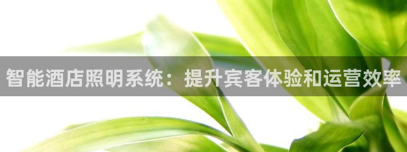 智能酒店照明系统：提升宾客体验和运营效率
