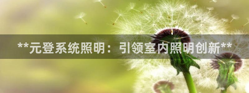 **元登系统照明：引领室内照明创新**