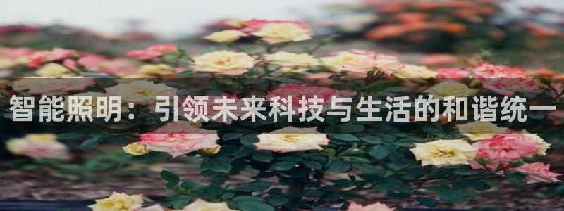 智能照明：引领未来科技与生活的和谐统一