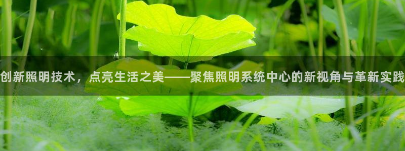 创新照明技术，点亮生活之美——聚焦照明系