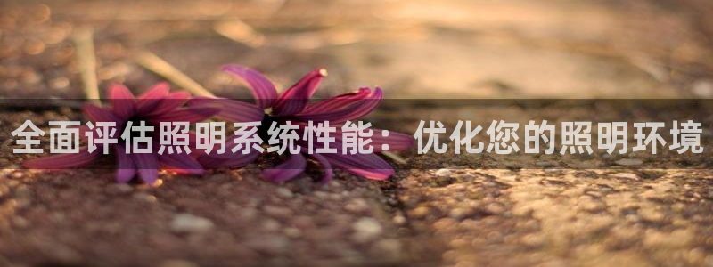 全面评估照明系统性能：优化您的照明环境