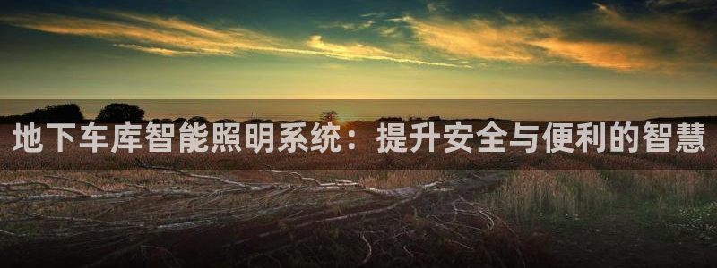 地下车库智能照明系统:提升安全与便利的智慧