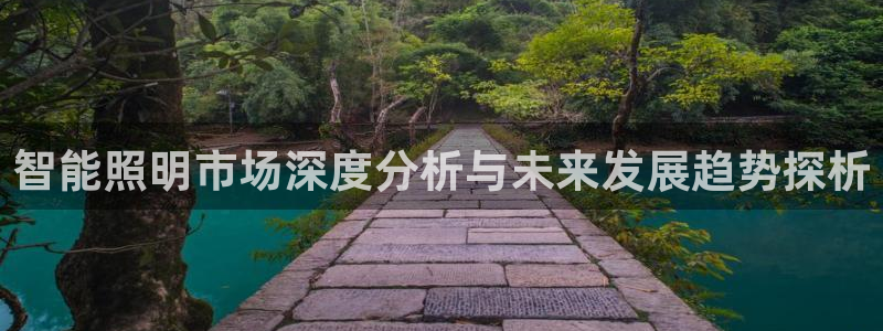 智能照明市场深度分析与未来发展趋势探析