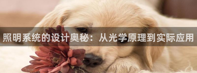 照明系统的设计奥秘：从光学原理到实际应用