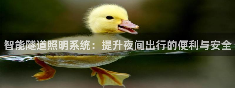 智能隧道照明系统：提升夜间出行的便利与安全