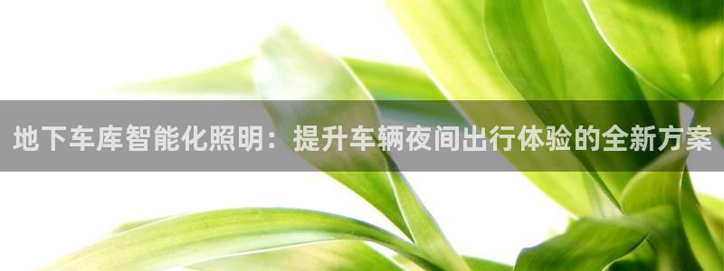 地下车库智能化照明:提升车辆夜间出行体验的全新方案