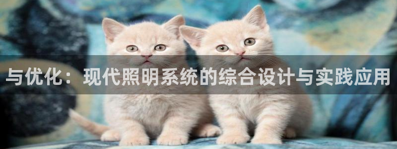 与优化:现代照明系统的综合设计与实践应用