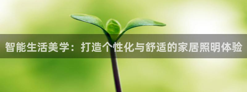 智能生活美学：打造个性化与舒适的家居照明体验